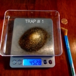 Trap #1 cleaned up<br>45.25 grams gold